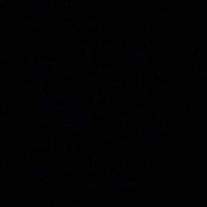 Meet your Posher, Ally